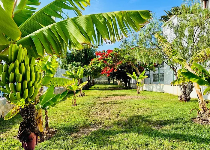 Quiet Chayofita Apartman