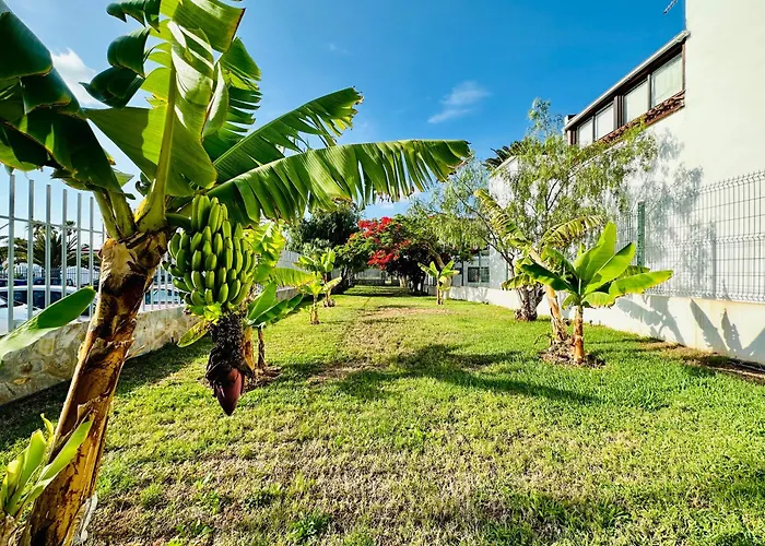 Quiet Chayofita Apartman Arona