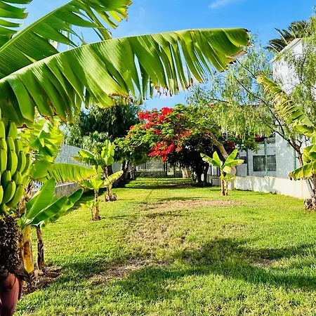 Quiet Chayofita Apartamento