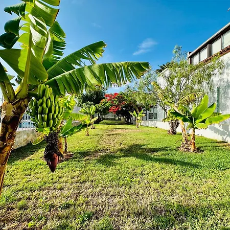 Quiet Chayofita Apartamento Arona (Tenerife)